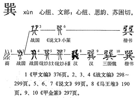 巽|巽(汉语汉字)